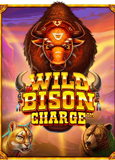 ทรรศนะ บอล สูงเกม ไฮโล เขย่า เอง: รีวิวเกมสล็อตออนไลน์ยอดนิยม